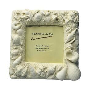 Seashell Ocean Beach Sealife Cream Square Picture Frame 4.5" x 4.5"
